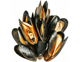 Мидии в ракушке в/м 40/60 1кг, Корея