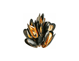 Мидии в ракушке в/м 50/70 1кг, Чили