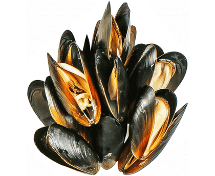 Мидии "Дальневосточные в/м" в раковине 60/80 0,540кг 1*10шт, изображение 2