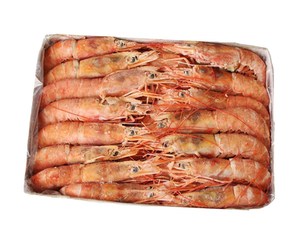 Креветка Лангустин с/м 1L (БЛОК 2кг) 1кг*12, Аргентина, изображение 2